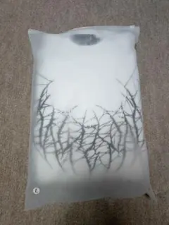 Item thumbnail for item 492352be-6cf2-4934-b88d-1c6ef9d5c466