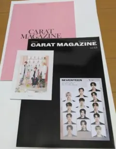 SEVENTEEN CARAT MAGAZINE vol 13.14　2冊セット
