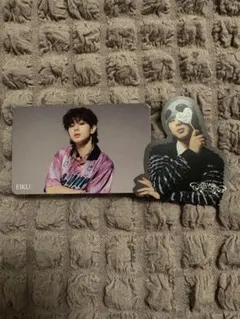 ONE Ｎ’ ONLY ワンエン EIKU トレカ ステッカー AMAZONIA