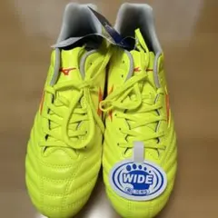 Item thumbnail for item bbced4c1-5be5-4b22-aaf3-7e20cb1a28d9