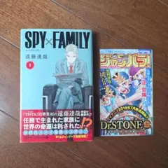 2026年最新】spy family 1 初版の人気アイテム - メルカリ
