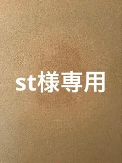st様専用