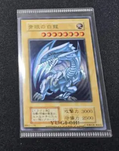 m28821702503_1.jpg?1771853314