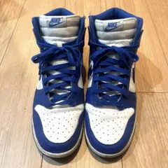 ✨希少サイズ　us12　Nike Dunk High 