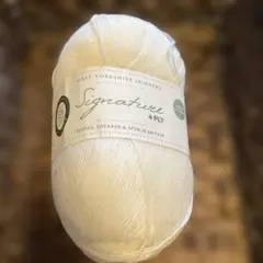 ⭐︎ 1299 Signature 海外ソックヤーン　中細　白