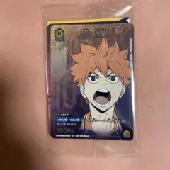 ハイキュー ユニオンアリーナ 映画 特典 プロモカード 日向翔陽 孤爪研磨