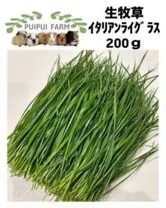 Item thumbnail for item 9cf532f5-700f-4d7b-b4b4-4aec03d8adc7