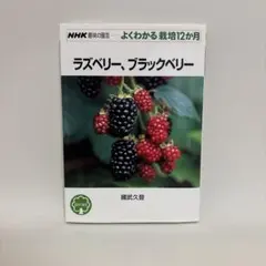 ラズベリー、ブラックベリー