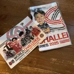 ペルージャVSサンバーズ　記念タオル＆クリアファイル‼️ 非売品