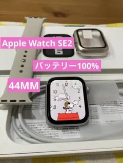 お値打ちセット】BT95% SE2 保護カバー＋バンド＋充電器セット 1955 