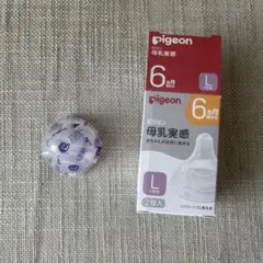 Item thumbnail for item 785512fc-5b89-49e3-b2c2-18c04a816e11