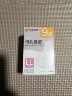 Item thumbnail for item 3088e779-6192-4850-80ee-059725dd84f4