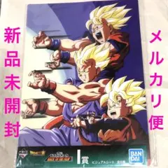 ドラゴンボールBACK TO THE FILMビジュアルシート　親子かめはめ波