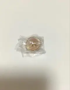 5thセカライ リングライト 花里みのり