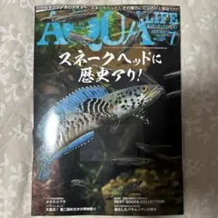 2025年最新】アクアライフ スネークヘッドの人気アイテム - メルカリ