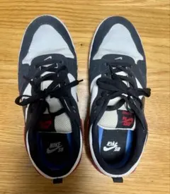 【値下げ中！】Nike SB スニーカー ブラック/ホワイト/レッド　アリウープ