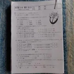 浜学園 小6 理科 プリント