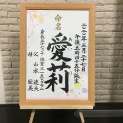 命名書・A4 毛筆　手書き　オーダー