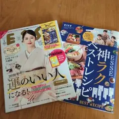 ESSE 2026年特集号