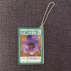 k*s様 シャムシェイド淳士 ジャポさくグッズ6点セット ラスト】シャムシェイド淳士 ジャポさくグッズ6点セット - メルカリ