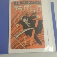 切り抜き◇椎名へきる 382ページ(声優/Hekiru Shiina)メルカリ - メルカリ