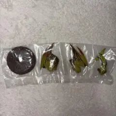 モンスターハンター 捕獲し隊4 レ•ダウ