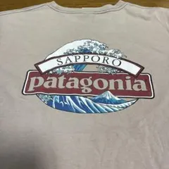 2026年最新】Patagonia tシャツ 北斎の人気アイテム - メルカリ