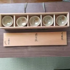 Item thumbnail for item 51af94b8-7ba4-4997-9e70-9cc1c990f5b0