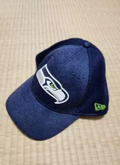 Item thumbnail for item 8ea8ecca-5e0b-41e4-9f61-a10d7897204f