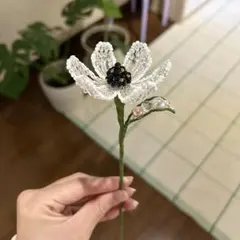 Item thumbnail for item 97ff48da-f27a-4c93-aa48-f79afd6be24a