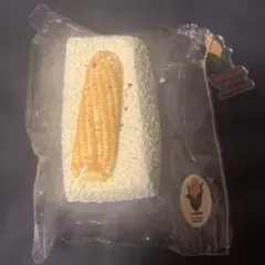 zuozuo studio Roasted corn スクイーズ 粉付き コーン - メルカリ