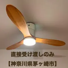 ロウヤ シーリングファンライト Jabalia v4 - メルカリ