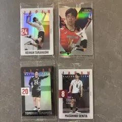 日本代表 バレーボール ウエハース