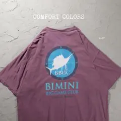 COMFORT COLORS Tシャツ　企業　カジキのサムネイル