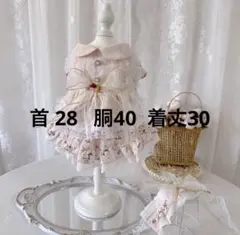 miko様専用犬服　猫服　ハンドメイド　ワンピース　わんちゃん