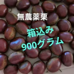 チワ様専用‼️クール便‼️2kgアメリカンチェリー 超特大粒 9R - メルカリ