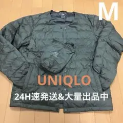 Item thumbnail for item 6cbafa0d-d2de-486d-81cd-91dd4d48e149