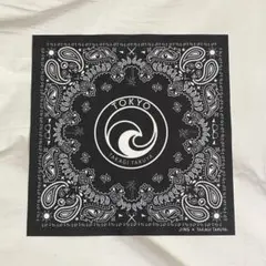 Item thumbnail for item cd9e267c-c079-458b-9cd9-5509115c98d3