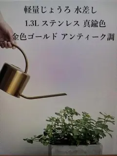 1.3L 골든 골드 물뿌리개 스테인리스 스틸 저그