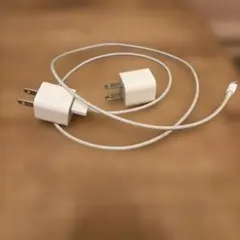 ホワイト 充電器 二口プラグ