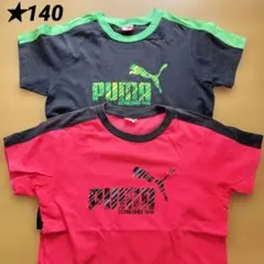PUMA Tシャツ 2枚セット