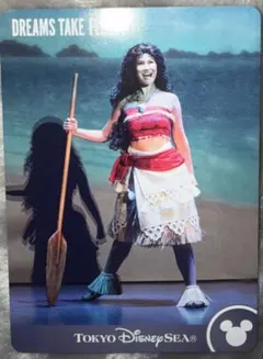 ドリームステイクフライト トレーディングカード