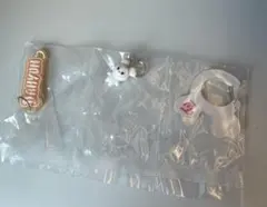 ガチャ TWICE アクリルカラビナフロッキーマスコット ダヒョン