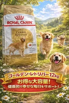 ゴールデンレトリバー 専用フード 成犬〜高齢犬用12kg ロイヤル