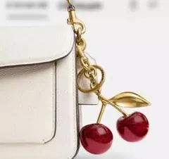 2026年最新】COACHキーホルダー さくらんぼの人気アイテム - メルカリ