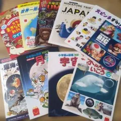マクドナルド ハッピーセット 絵本 図鑑 10冊セット