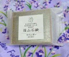 Item thumbnail for item 5de00434-83b7-4129-997a-5952fa5523c0