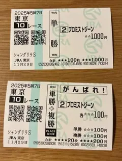 プロミストジーン　シャングリラステークス　現地馬券