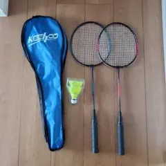 Item thumbnail for item 17347339-56d3-4350-b08e-d23f9fa80e73