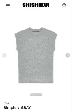 シシクイ THE SHISHIKUI XST / GRAY 短丈 ネップTシャツ - メルカリ